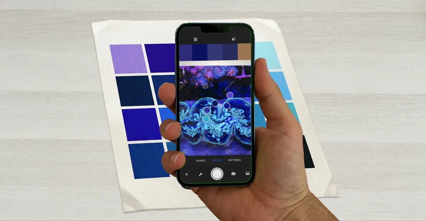 Printed swatches in blues and violets on a table, with a phone showing the colors sampled from a giant clam