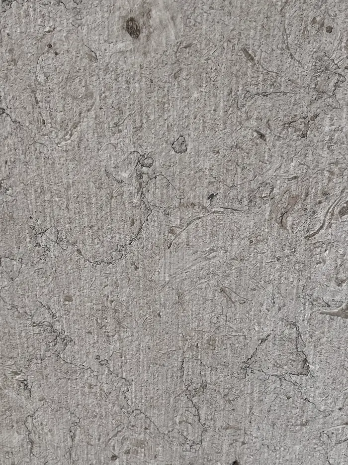 Rough gray stone texture