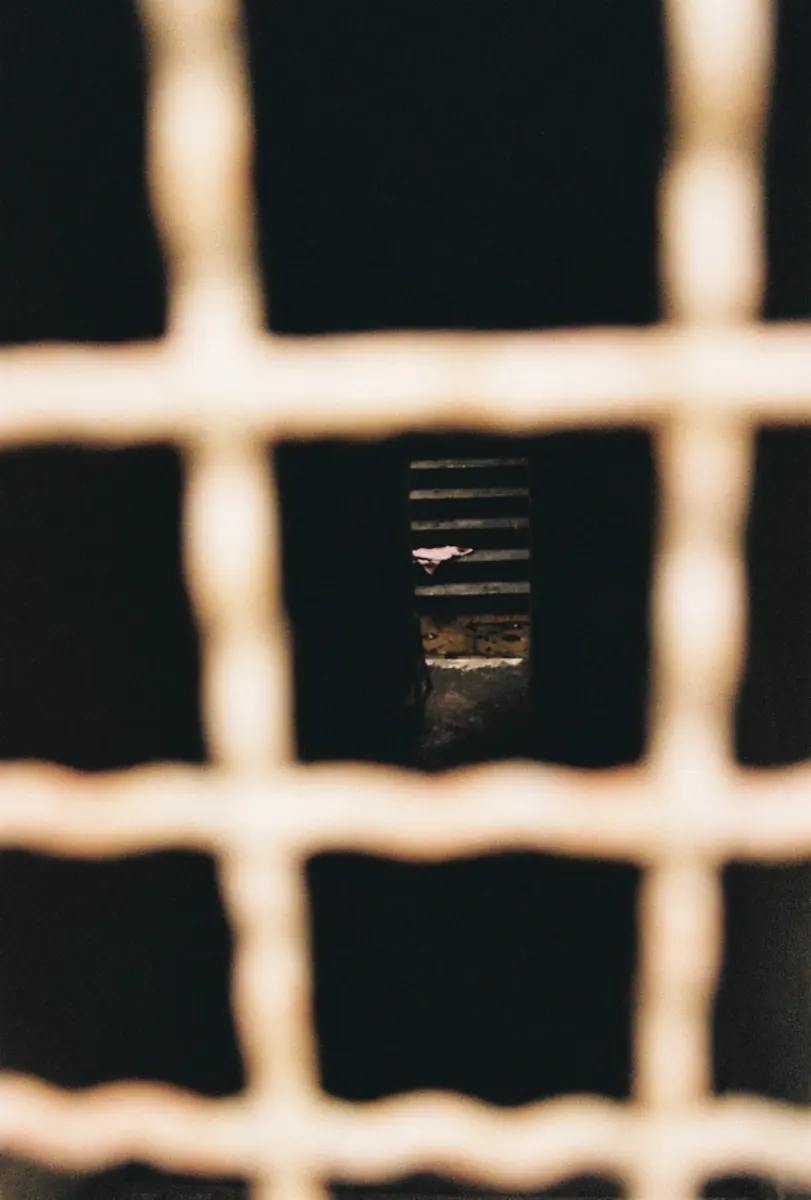 A white grille lit from behind, close up