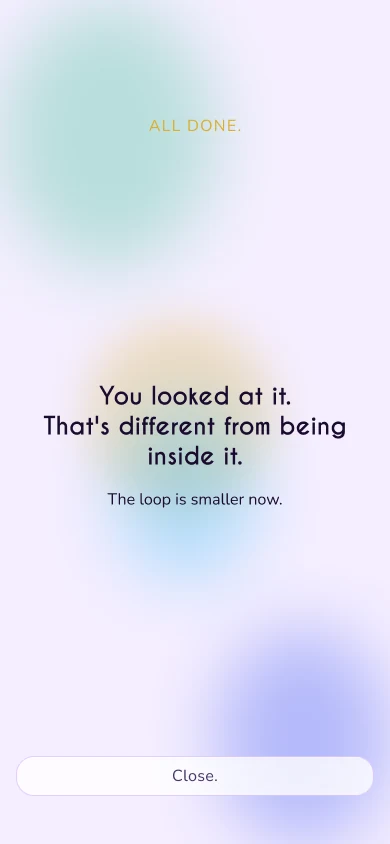 Rumination done: “You looked at it. That’s different from being inside it.”