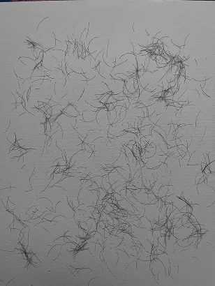 Cut hair scattered over a sheet of paper
