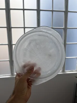 A hand holding up a disc of frozen ice against a bright window