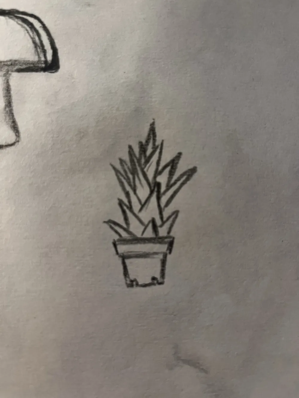 Pencil sketch of a spiky plant in a small pot